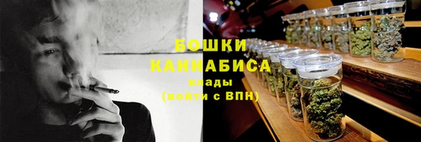 ГАЛЛЮЦИНОГЕННЫЕ ГРИБЫ Алзамай