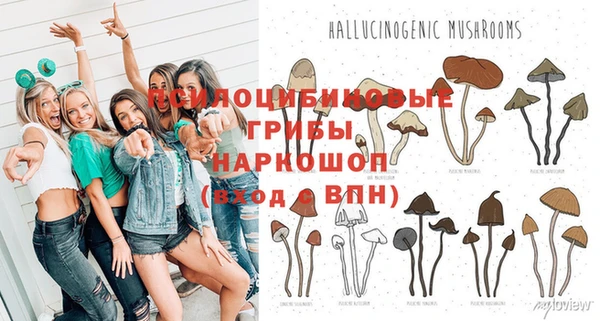 ГАЛЛЮЦИНОГЕННЫЕ ГРИБЫ Алзамай