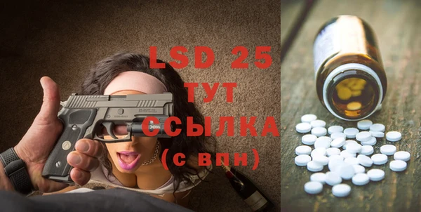 ГАЛЛЮЦИНОГЕННЫЕ ГРИБЫ Алзамай