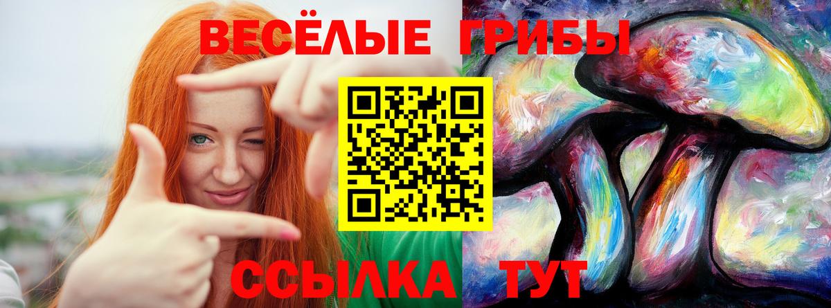 Галлюциногенные грибы мицелий Фролово