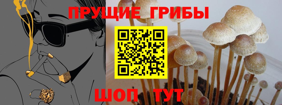 Псилоцибиновые грибы Cubensis  продажа наркотиков  Псилоцибиновые грибы Psilocybe  Фролово  Вход с VPN 